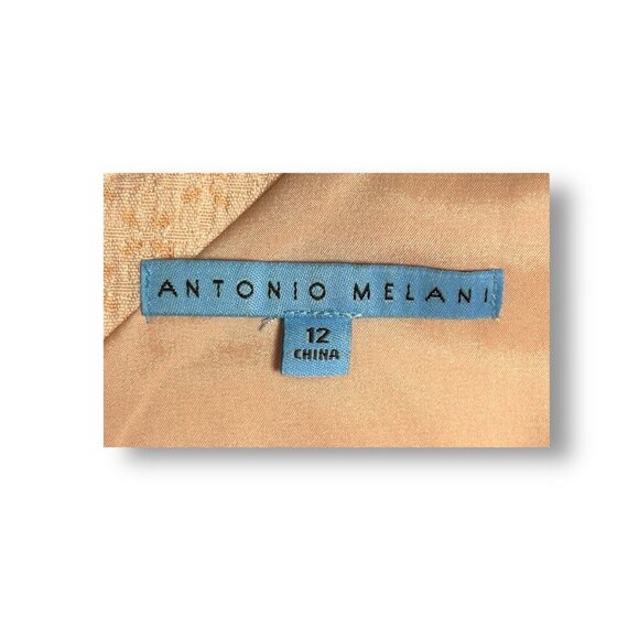 Antonio Melani Peach Embroidered Sheath Mini Dress Sleeveless Feminine Glam 12 - Picture 6 of 9